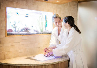 Seehotel J�gerwirt