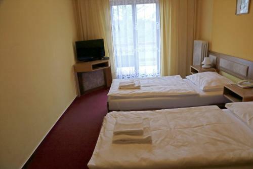 Hotel Zv�kov