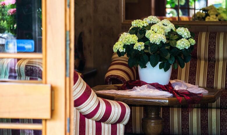 Hotel Acht Linden