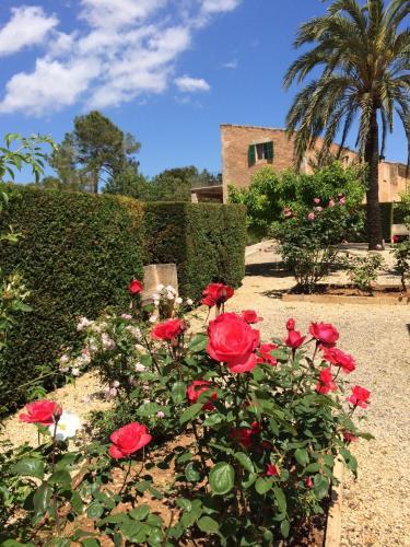 Agroturismo Casa Rural Son Bernadinet