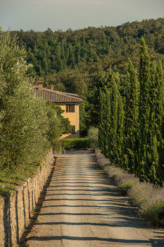 Hotel Villa Dievole