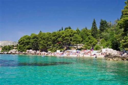 Apartments Marnic