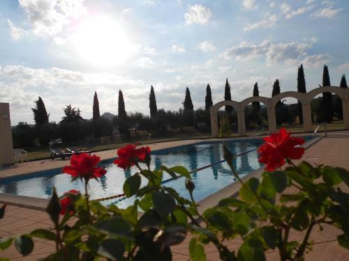 Hotel Vega Perugia