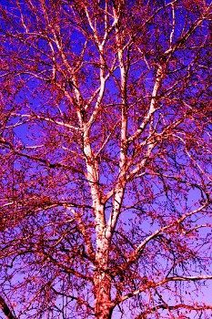 Hotel Agriturismo Ca' Nuova