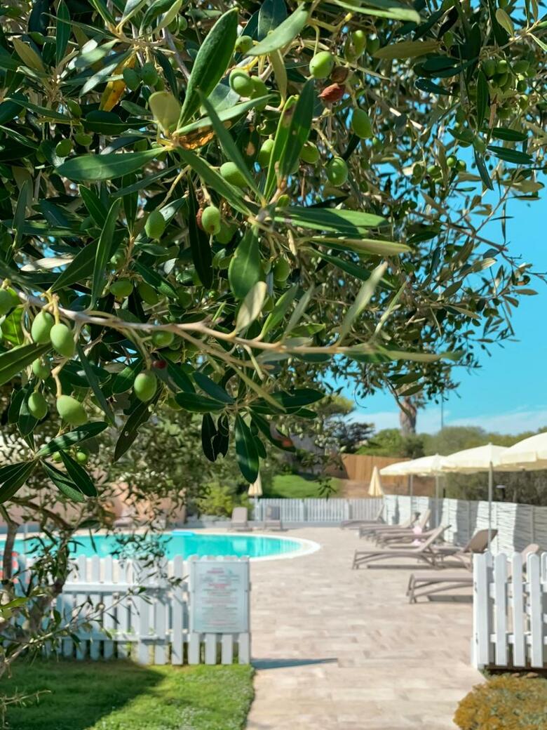 Park Hotel Asinara