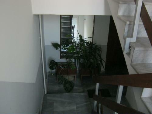 Hotel Hostel Bimbo