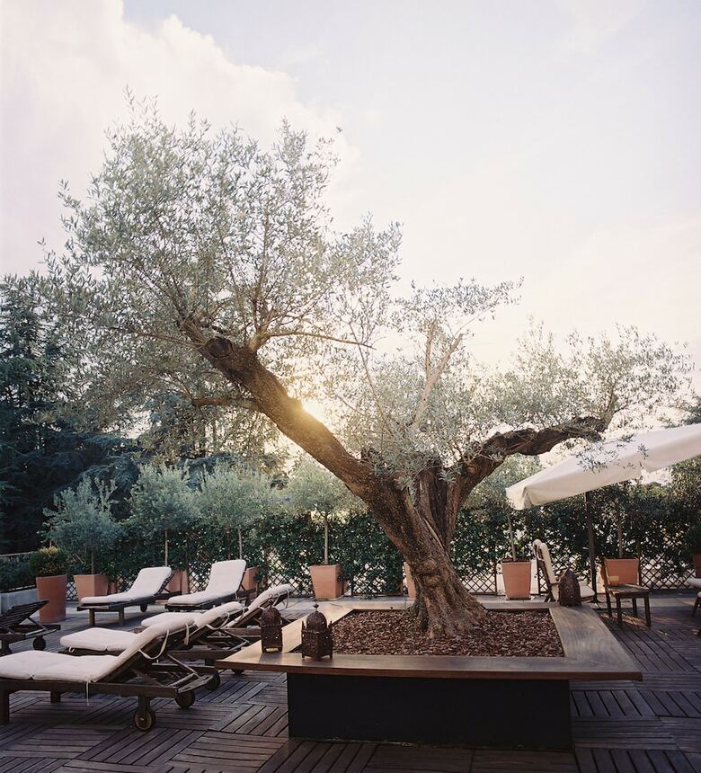 Hotel Terme