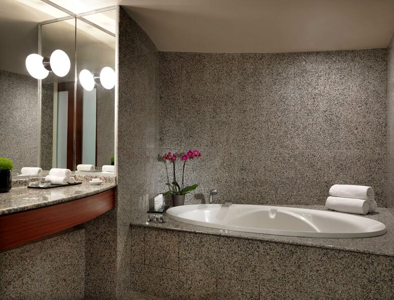 Hotel Hyatt Regency