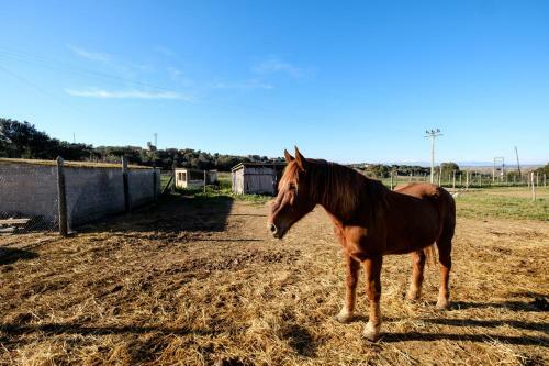 Agroturismo Can Barnosell - Els Masos D'en Coll