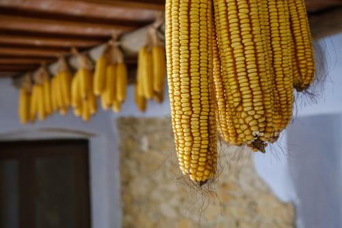 Agroturismo Can Barnosell - Els Masos D'en Coll