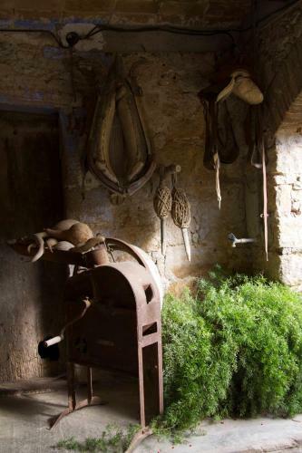 Agroturismo Can Barnosell - Els Masos D'en Coll