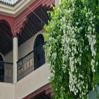 Hotel Riad Yacout
