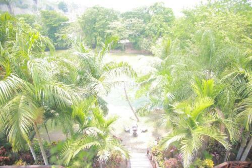 Hotel Mahogany Hall Luxury Boutique Resort