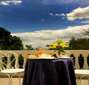 Hotel Alexander Palme