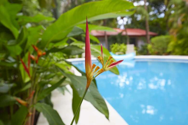 Living Hotel