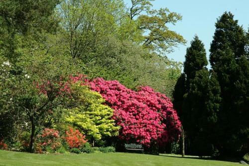 Hotel Northcote Manor
