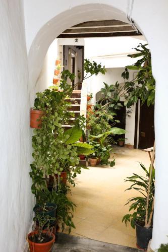 Apartamento Casa Bodega Triana