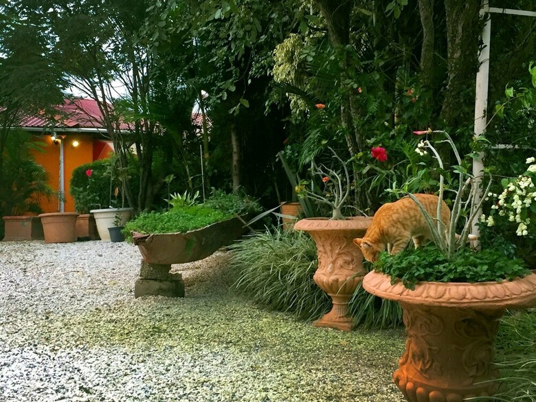 Palmwood Lodge