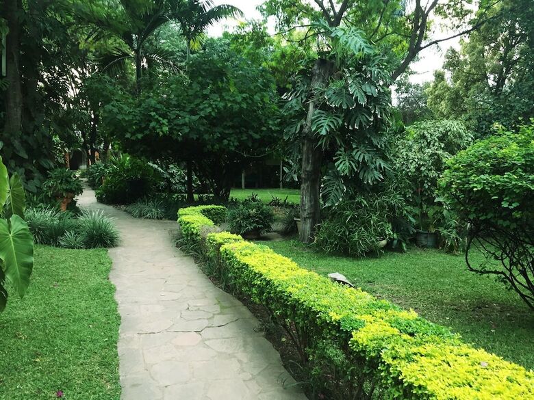 Palmwood Lodge