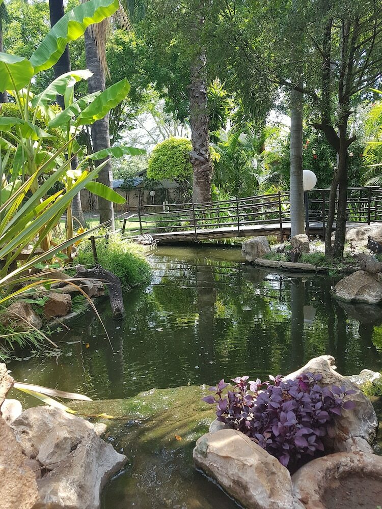 Hostal Lion's Guesthouse