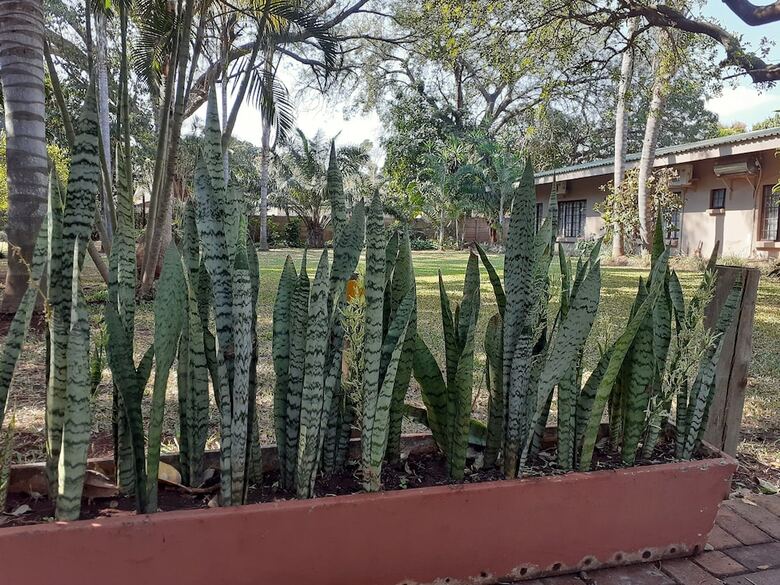 Hostal Komati Guesthouse