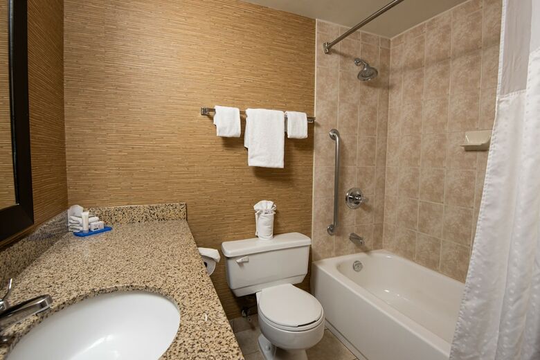 Hotel Holiday Inn Express & Suites Chatham South