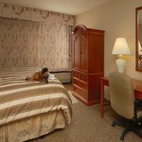 Hotel Comfort Inn At Buffalo Bill Village