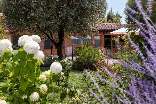 Bed & Breakfast Residenza Le Batesine