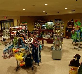 Big Splash Adventure Hotel And Indoor Water Park