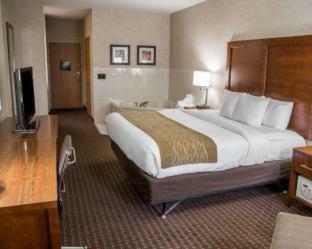 Hotel Comfort Inn & Suites Riverview