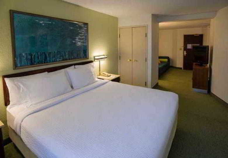 Hotel Springhill Suites By Marriott Bolingbrook