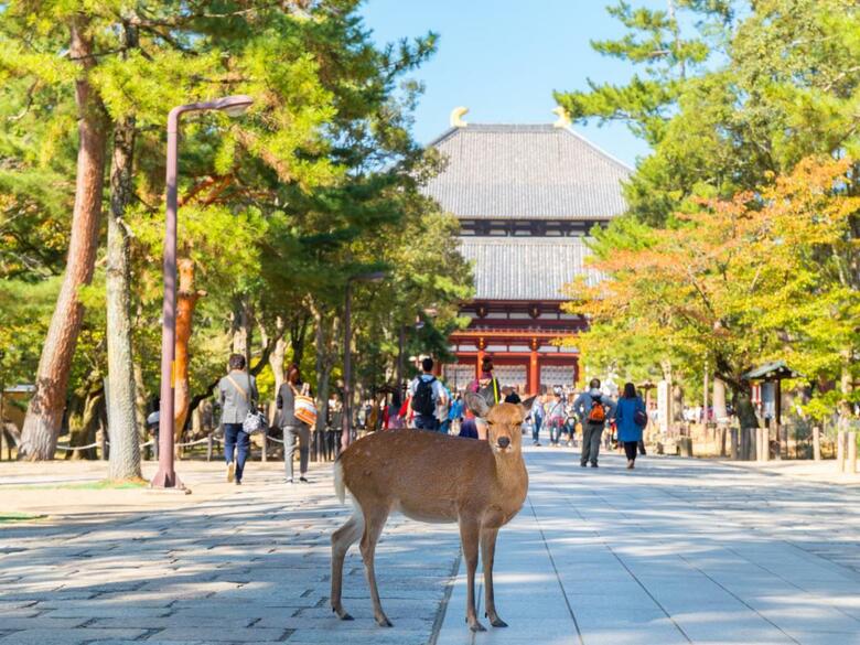Nara Royal Hotel