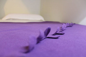 Pillow Talk Hostel