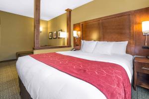 Hotel Comfort Suites