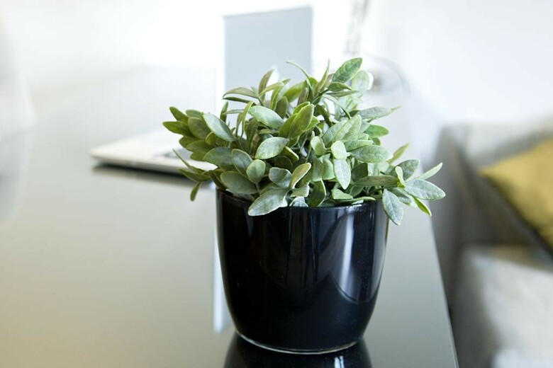 Quentin Boutique Hotel