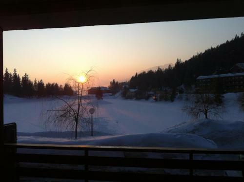 Apartment "so Sweet Zerland"
