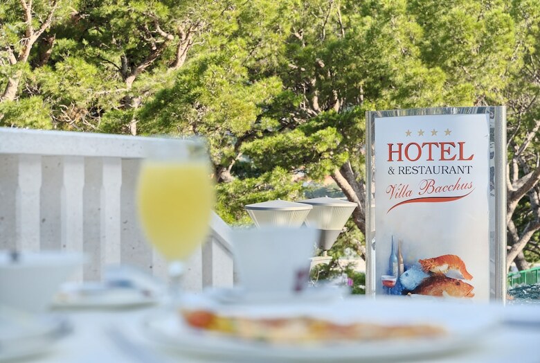 Hotel Villa Bacchus