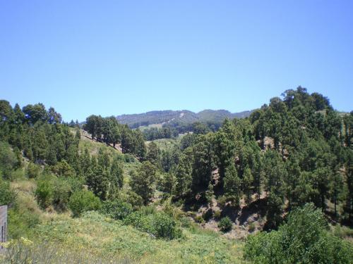 El Colmenero