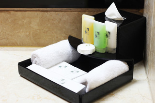 Hotel Ciputra
