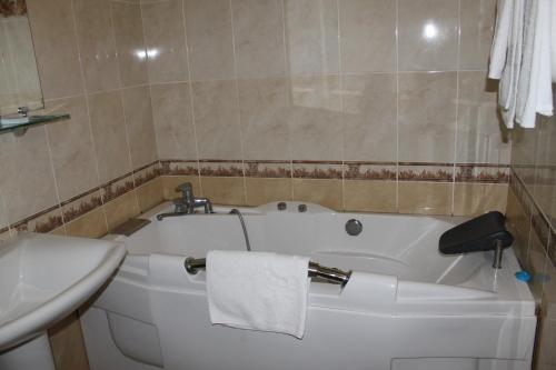 Hotel Alians