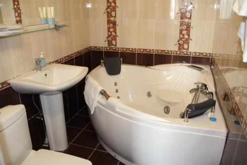 Hotel Alians