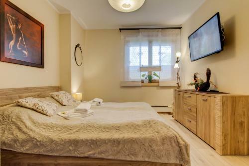 Apartamenty Tatra View