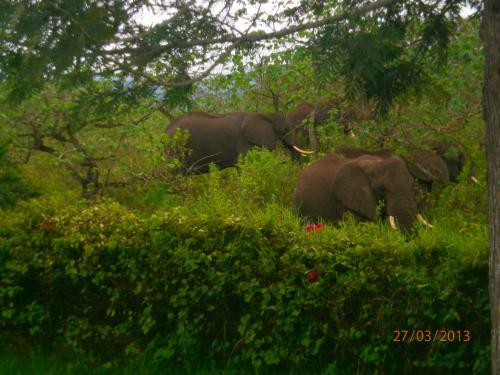 Meru Mbega Lodge