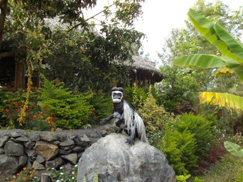 Meru Mbega Lodge