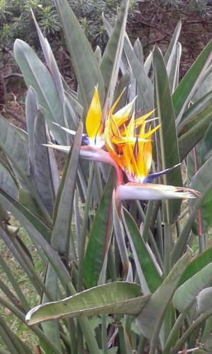 Meru Mbega Lodge