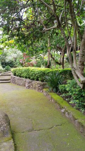 Meru Mbega Lodge