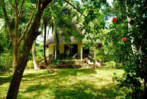 Hotel Mangrove Lodge