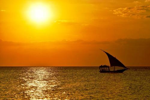 Hotel Mangrove Lodge