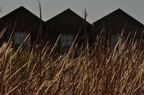 Lodge Casas Oceanicas