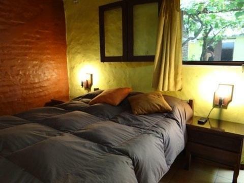 Hostel Ibirapita